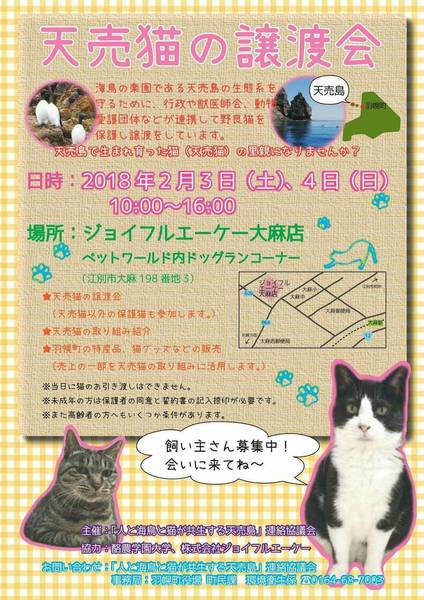 image1.jpeg