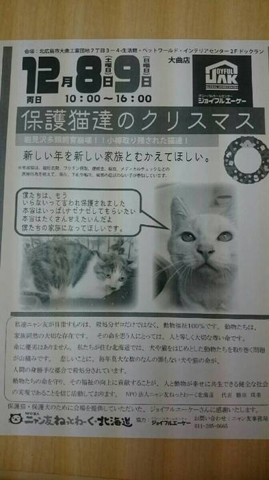 image1.jpeg