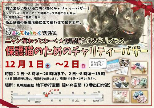 image1.jpeg