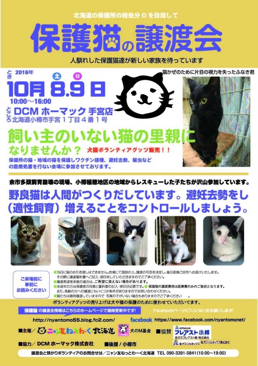 あみねこ販売情報 16年10月8 9日 土 日 北海道小樽市 あみねこ連絡帳